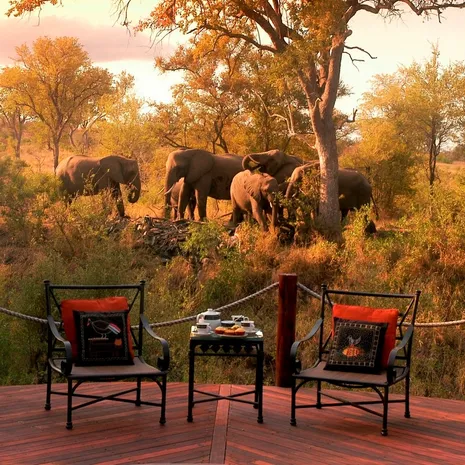 Lodge in Krugerpark, Zuid-Afrika — reizen op maat samengesteld door Springbok Travel